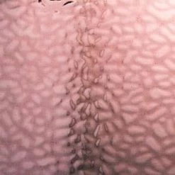 English Muffle Scottish Heather -Stained Glass Deals Store 173750 70