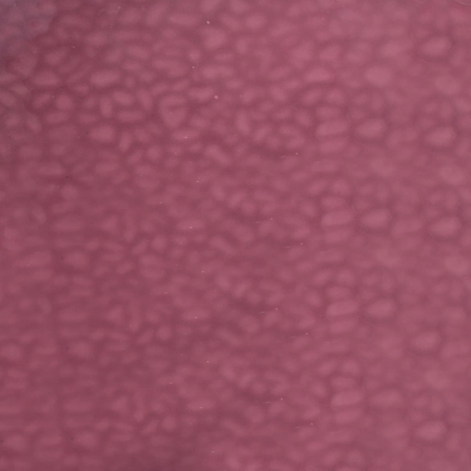 English Muffle Wine 6 English Muffle Wine - Image 6