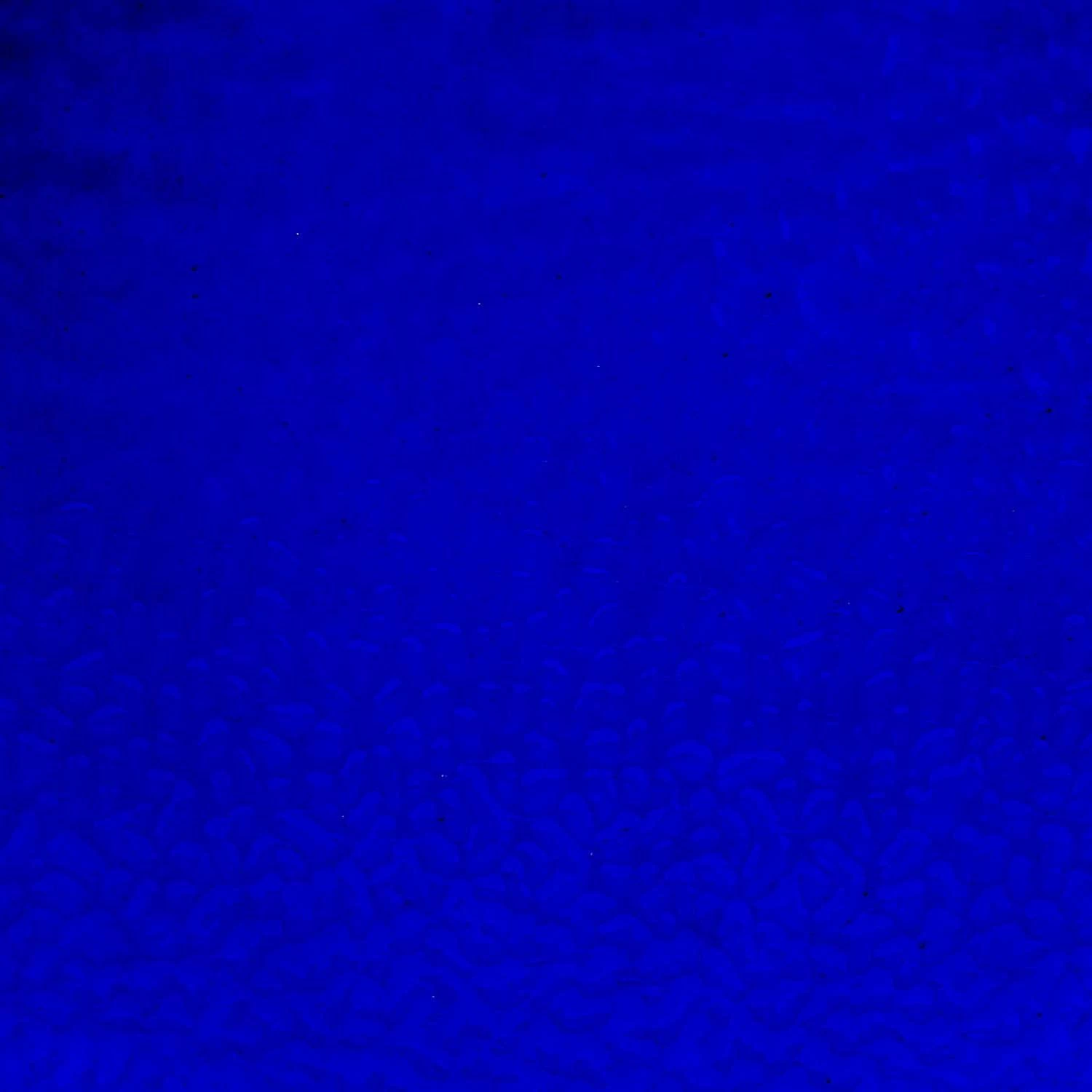 English Muffle Majesty Blue 7 English Muffle Majesty Blue - Image 7