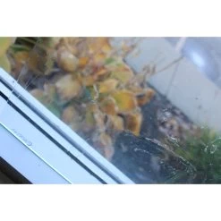 Clear Glacier -Stained Glass Deals Store 173820 30