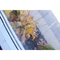 Clear Seedy -Stained Glass Deals Store 174154 30