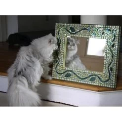 Single Strength Mirror 9 Single Strength Mirror -Stained Glass Deals Store 189745 30