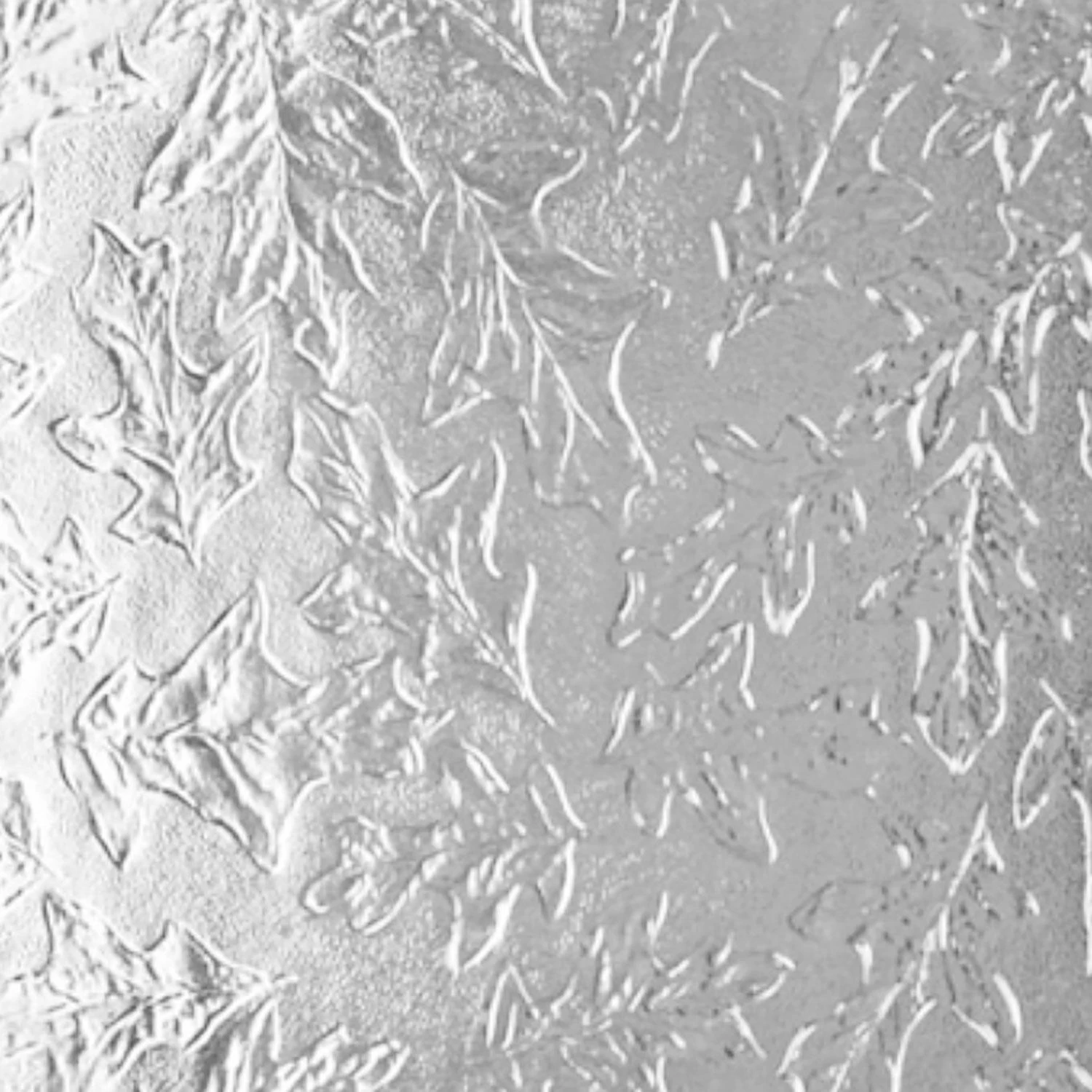 Clear Oak 1 Clear Oak