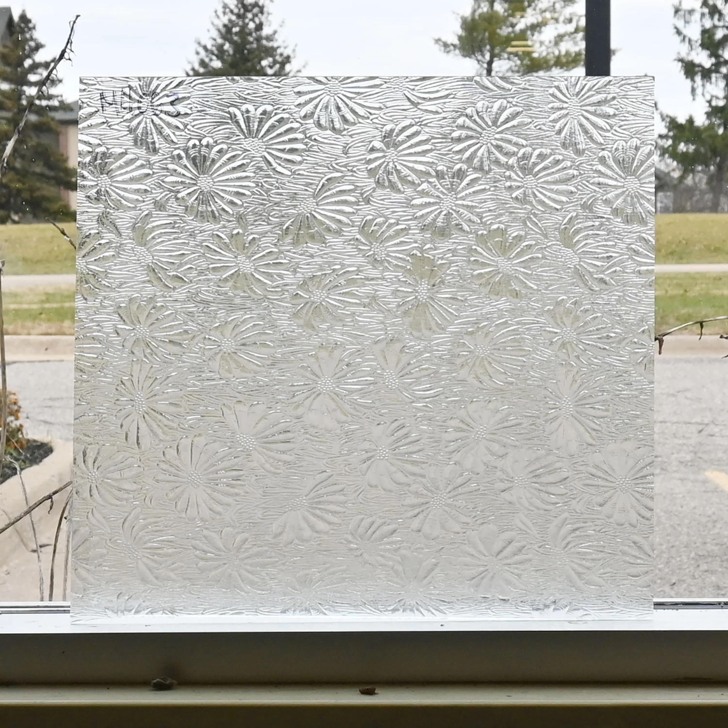 Clear Mayflower 5 Clear Mayflower - Image 5