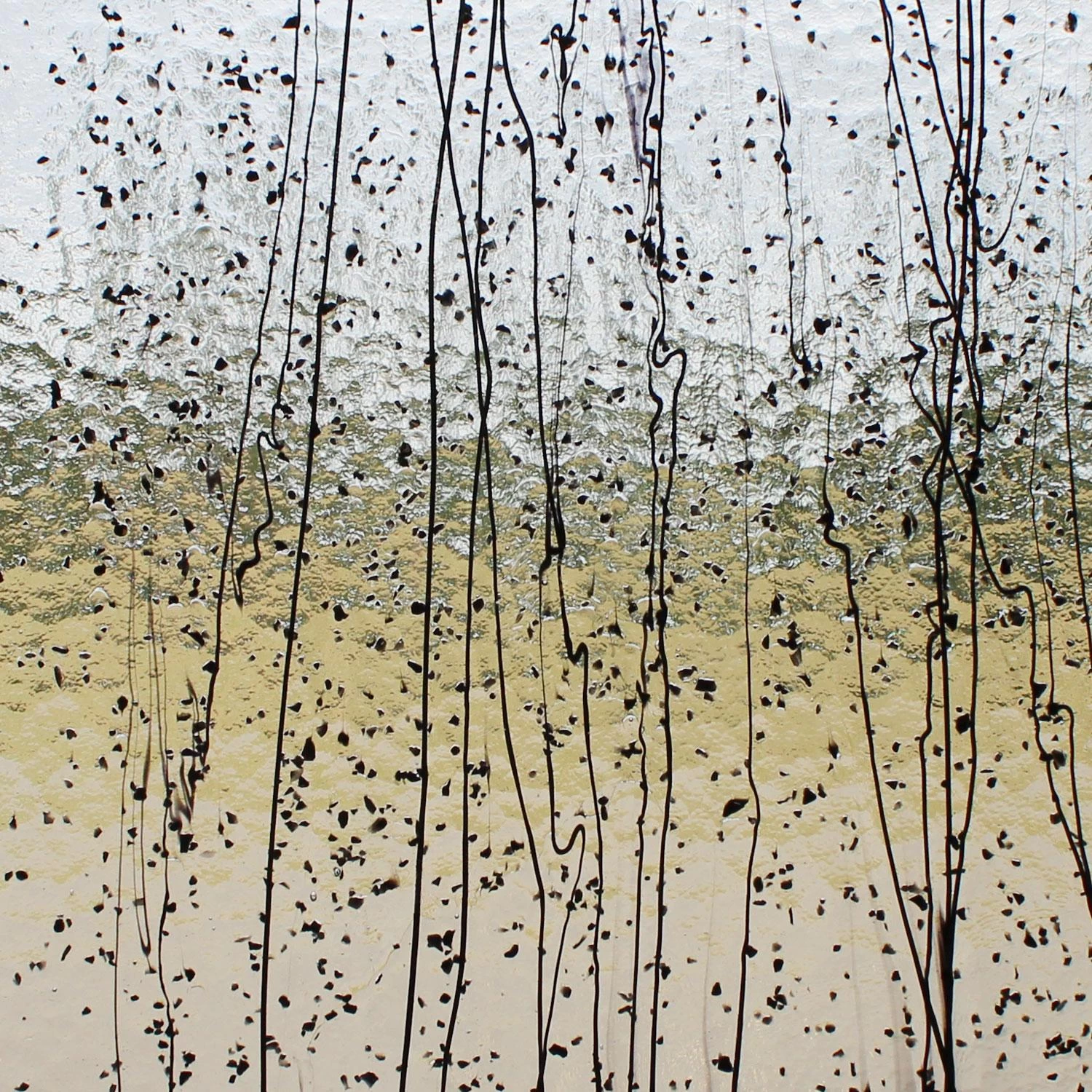 Bullseye Black On Clear Mardi Gras - 90 COE 1 Bullseye Black On Clear Mardi Gras - 90 COE