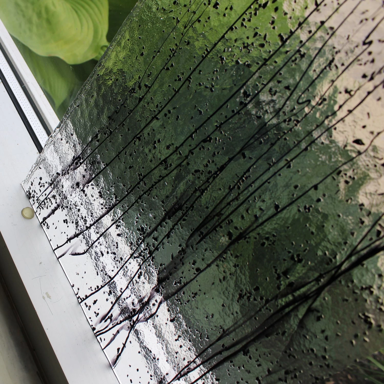 Bullseye Black On Clear Mardi Gras - 90 COE 4 Bullseye Black On Clear Mardi Gras - 90 COE - Image 4