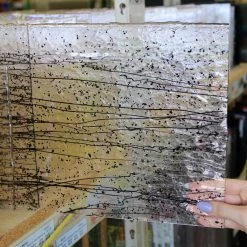 Bullseye Black On Clear Mardi Gras - 90 COE 11 Bullseye Black On Clear Mardi Gras - 90 COE -Stained Glass Deals Store 198539 40