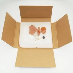 Pre-Cut Fox Night Light Kit -Stained Glass Deals Store 200112 30