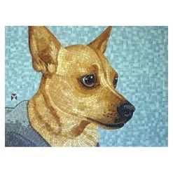 Jennells Big Book Of Dogs With CD 13 Jennells Big Book Of Dogs With CD -Stained Glass Deals Store 200175 60