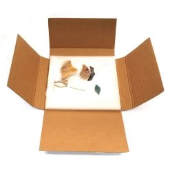 Pre-Cut Owl Night Light Kit 7 Pre-Cut Owl Night Light Kit -Stained Glass Deals Store 200209 30