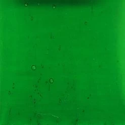 Kokomo Medium Christmas Green Transparent Light Seedy