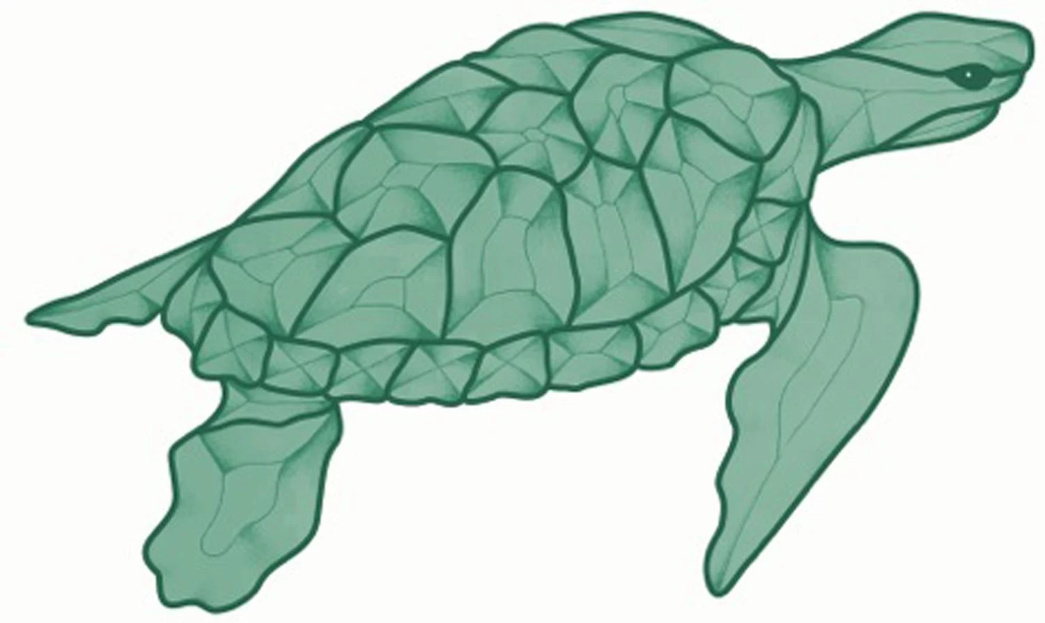 Green Turtle Bevel Cluster 2 Green Turtle Bevel Cluster - Image 2