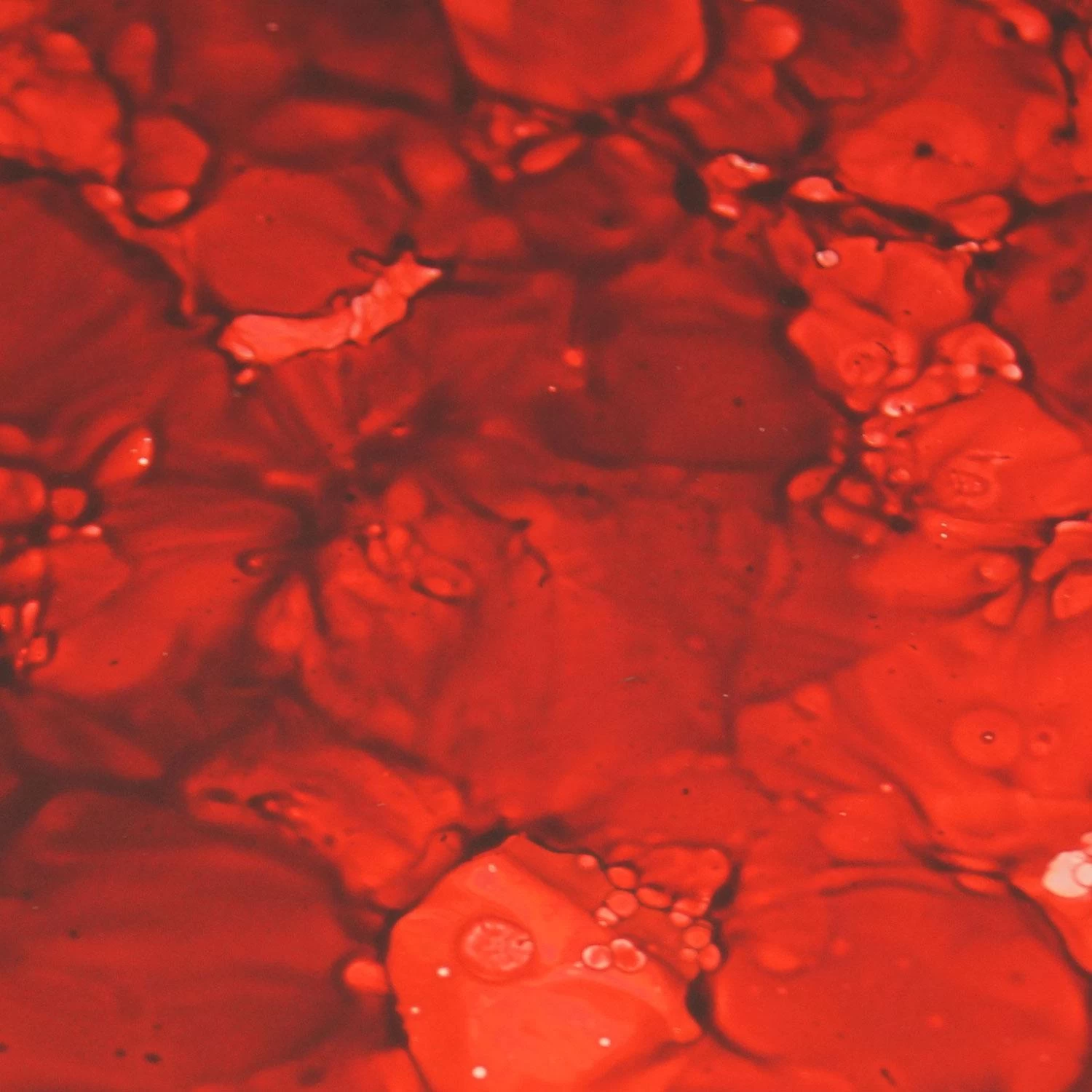 MLW Vivid Ruby Mirror 1 MLW Vivid Ruby Mirror