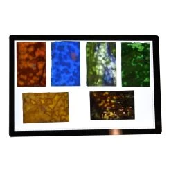 Oceana Stained Glass Pack 10 Oceana Stained Glass Pack -Stained Glass Deals Store 221980 30