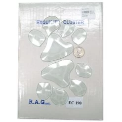 Paw Prints Bevel Clusters -Stained Glass Deals Store 229303 20