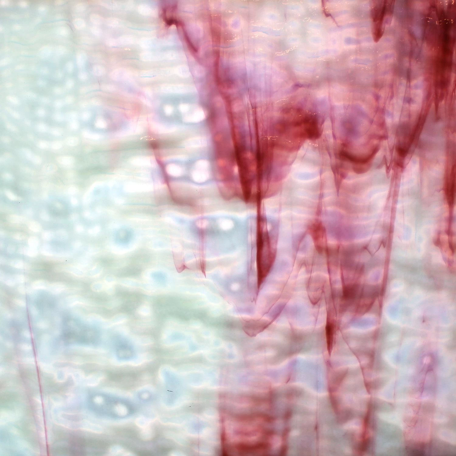 Youghiogheny White And Bubblegum Pink Ripple Reproduction 7 Youghiogheny White And Bubblegum Pink Ripple Reproduction - Image 7