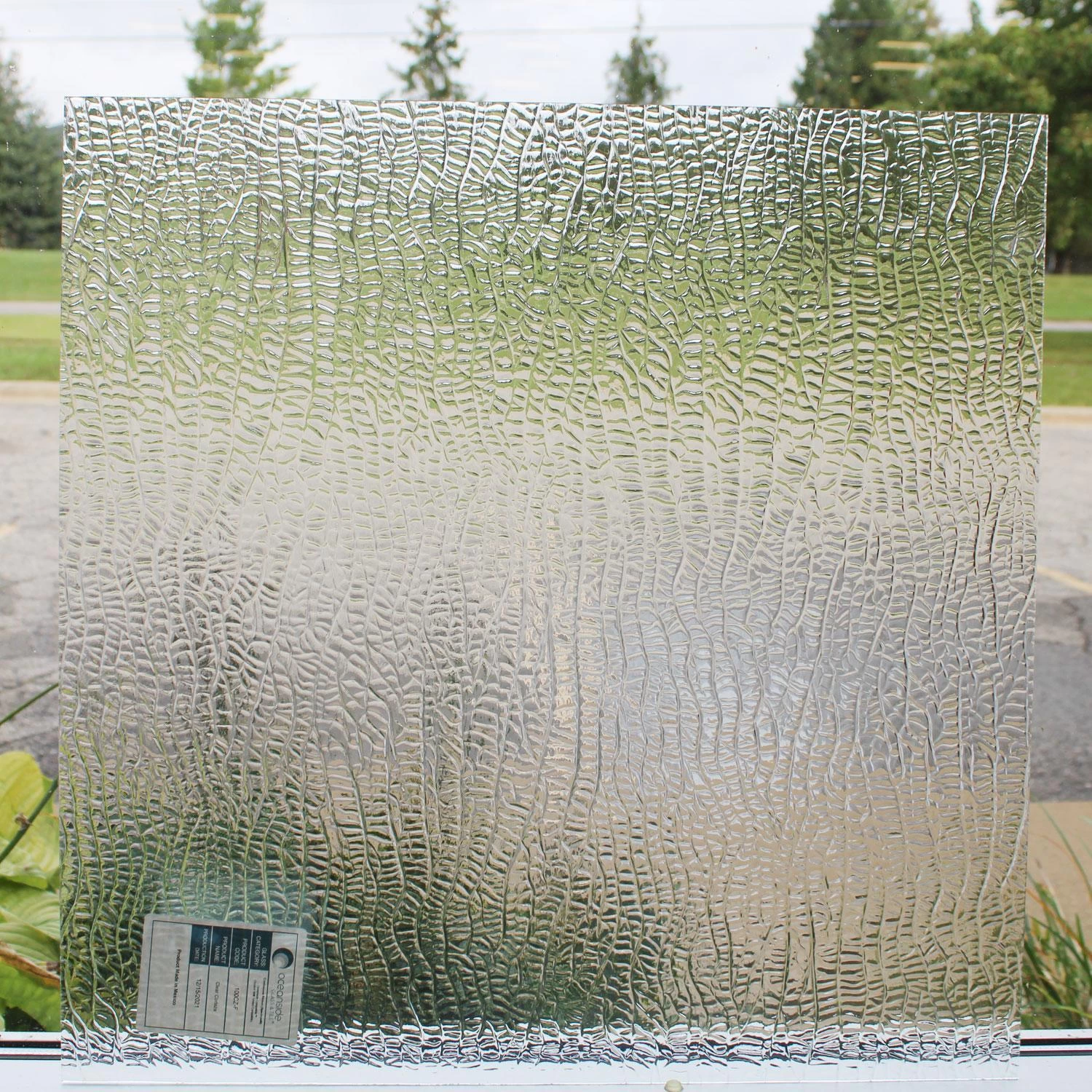 Oceanside Clear Corteza 3 Oceanside Clear Corteza - Image 3