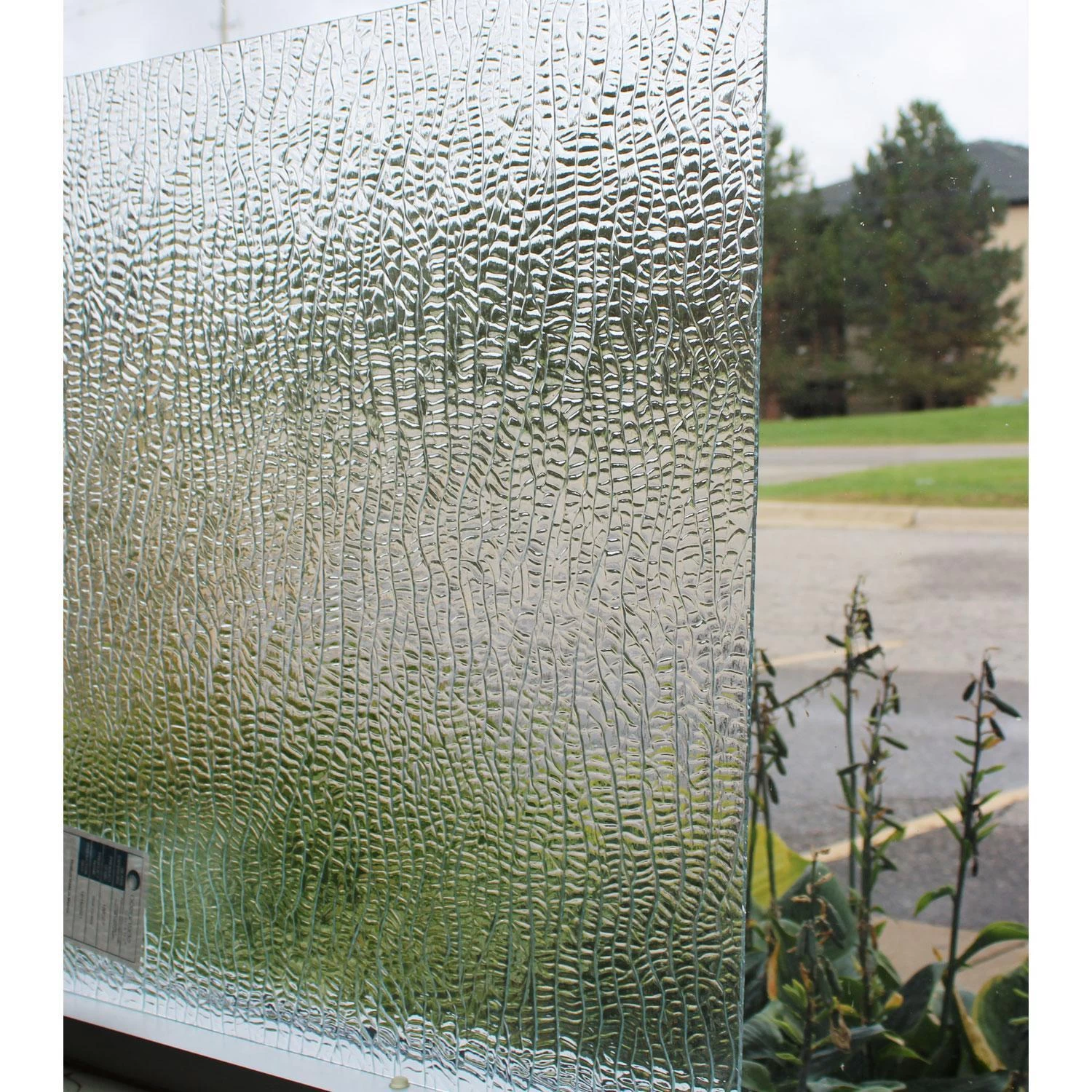 Oceanside Clear Corteza 4 Oceanside Clear Corteza - Image 4