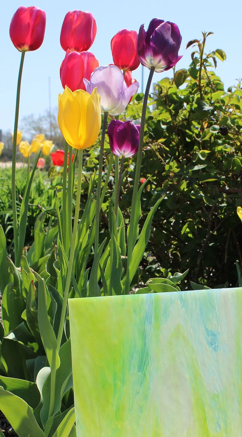 Oceanside Key Lime Pearl Opal - 96 COE 5 Oceanside Key Lime Pearl Opal - 96 COE - Image 5