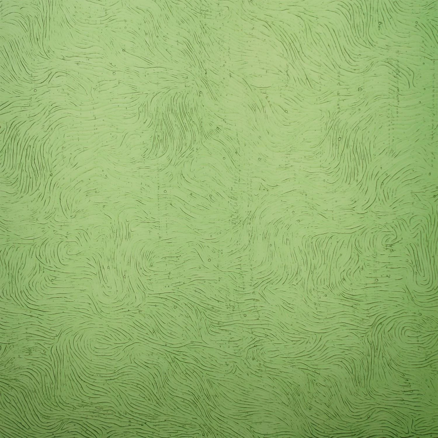 Kokomo Light Green Transparent Vertigo 1 Kokomo Light Green Transparent Vertigo