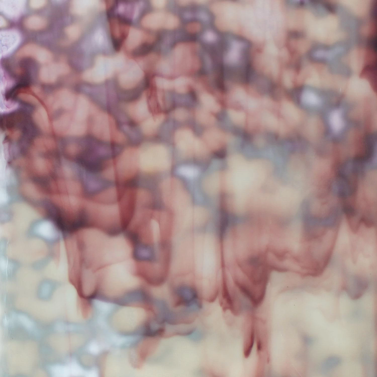 Oceana White Opal And Gold Purple 1 Oceana White Opal And Gold Purple