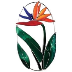 Pre-Cut Bird Of Paradise Oval Kit