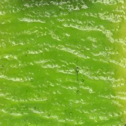 Kokomo Chartreuse Green Transparent Rolled Granite