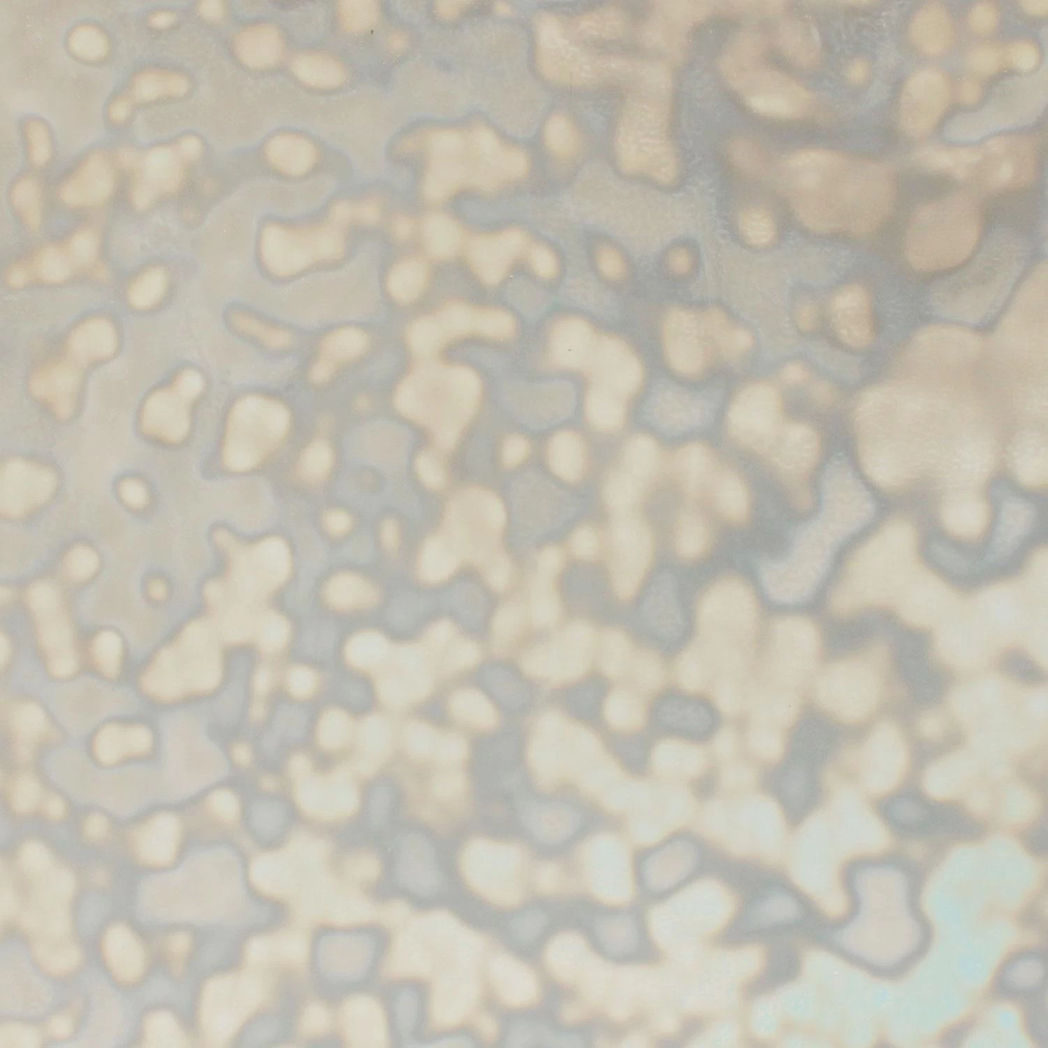 Uro White Ring Mottle 2 Uro White Ring Mottle - Image 2