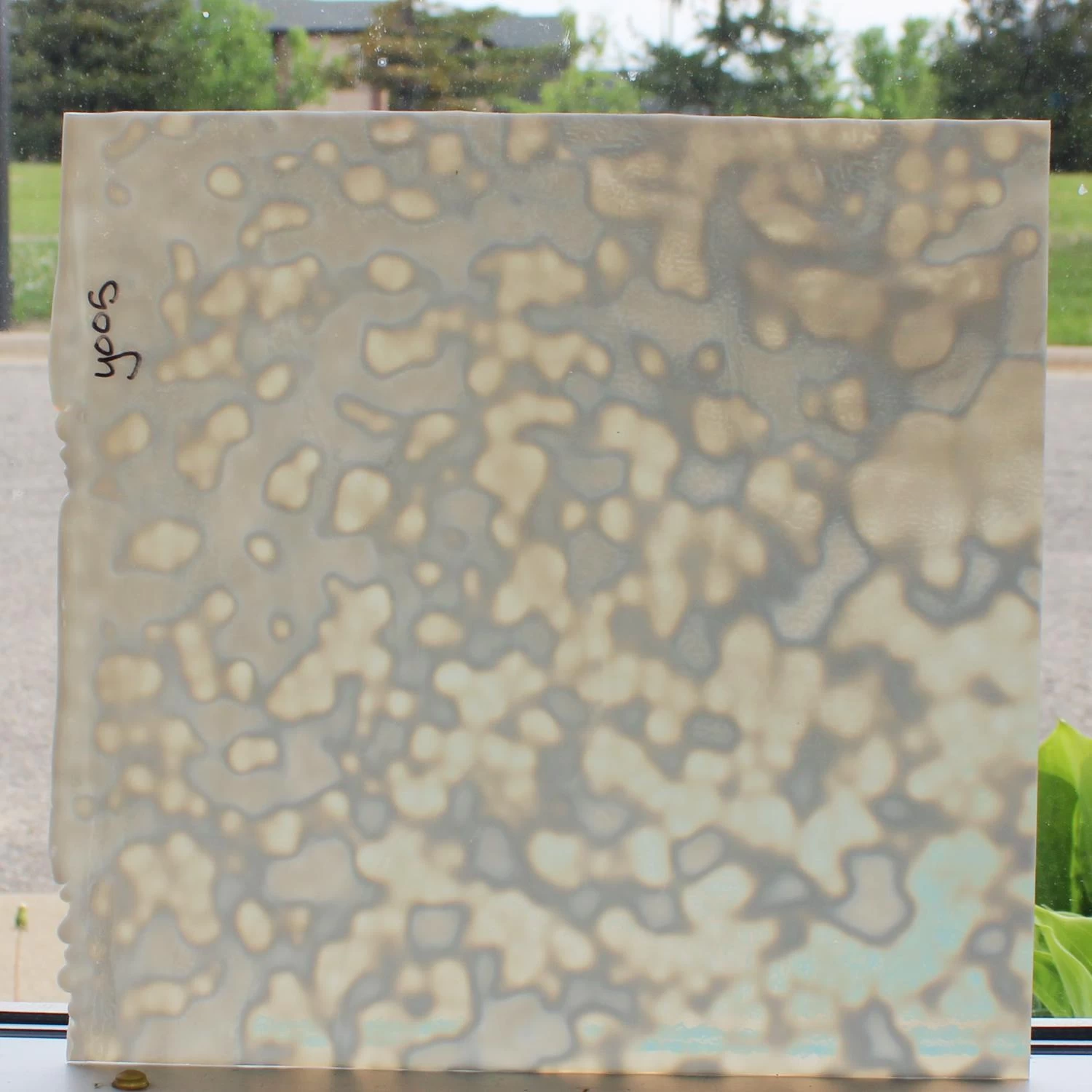 Uro White Ring Mottle 3 Uro White Ring Mottle - Image 3