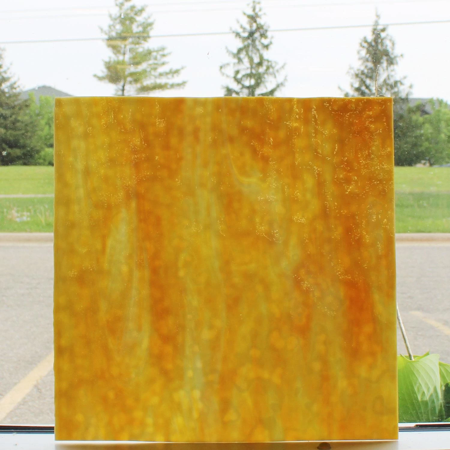 Uro Amber And Lemon Yellow On White Mottle 2 Uro Amber And Lemon Yellow On White Mottle - Image 2