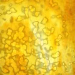 Uro Amber And Lemon Yellow On White Mottle 16 Uro Amber And Lemon Yellow On White Mottle -Stained Glass Deals Store 234424 70