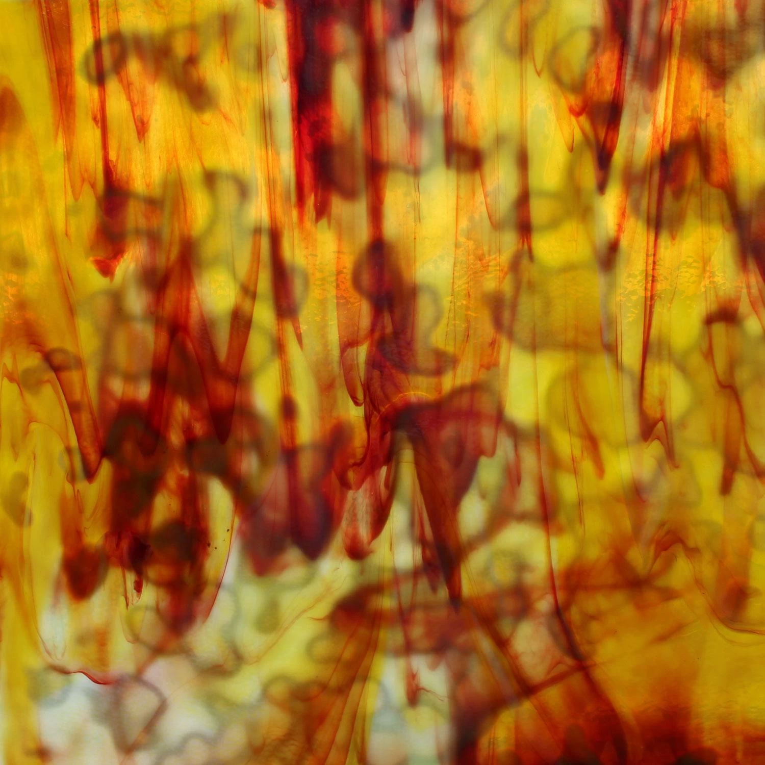 Uro Ruby, Golden Yellow And Red On White Mottle 1 Uro Ruby, Golden Yellow And Red On White Mottle