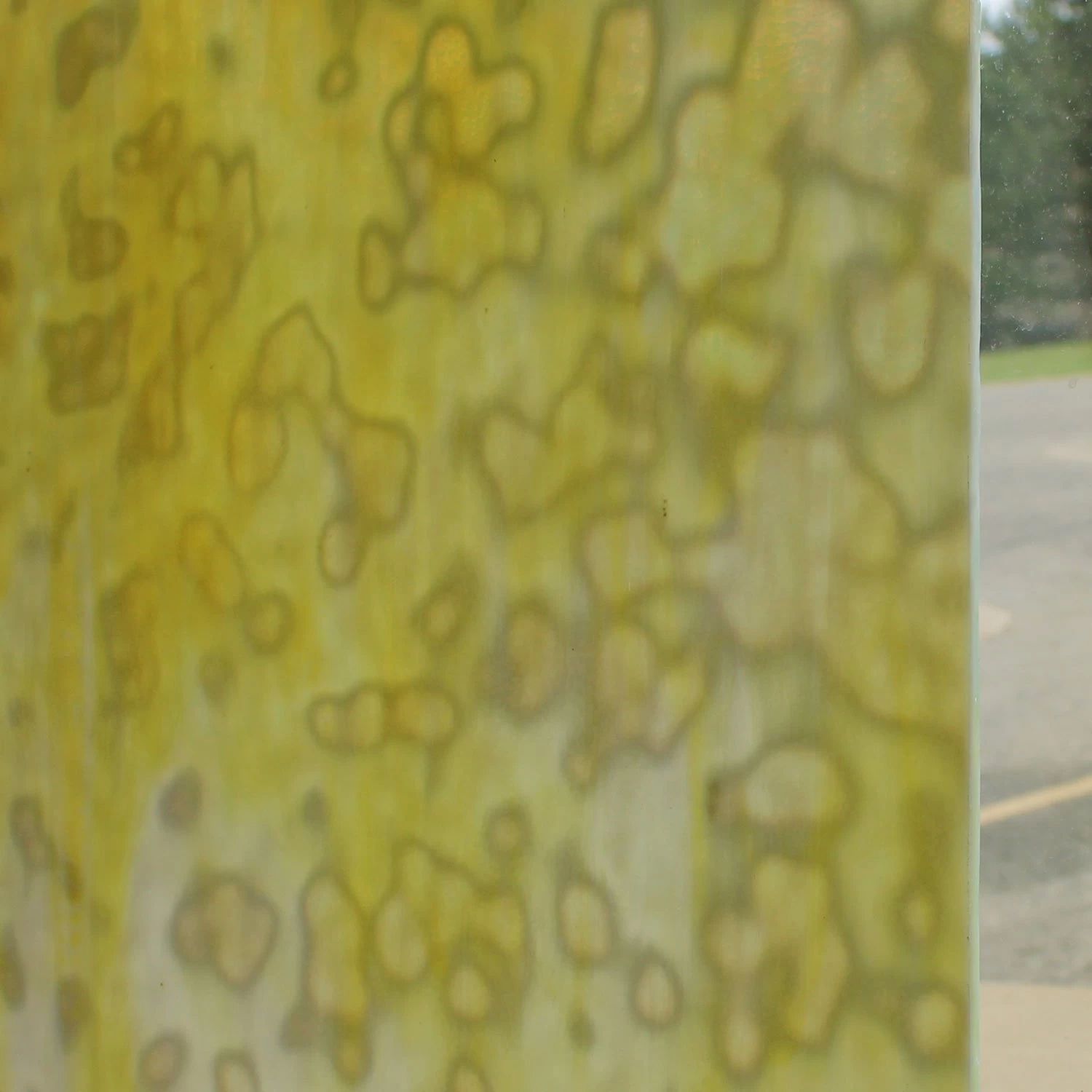 Uro Lemon Yellow, Golden Yellow And White Mottle 3 Uro Lemon Yellow, Golden Yellow And White Mottle - Image 3