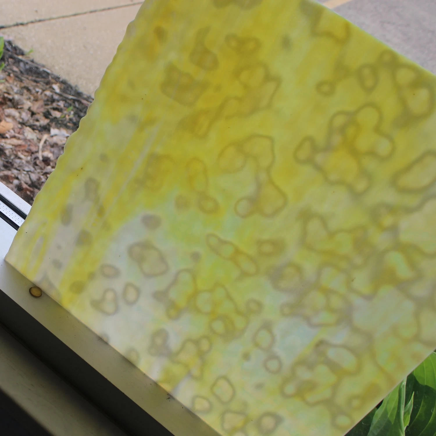 Uro Lemon Yellow, Golden Yellow And White Mottle 4 Uro Lemon Yellow, Golden Yellow And White Mottle - Image 4