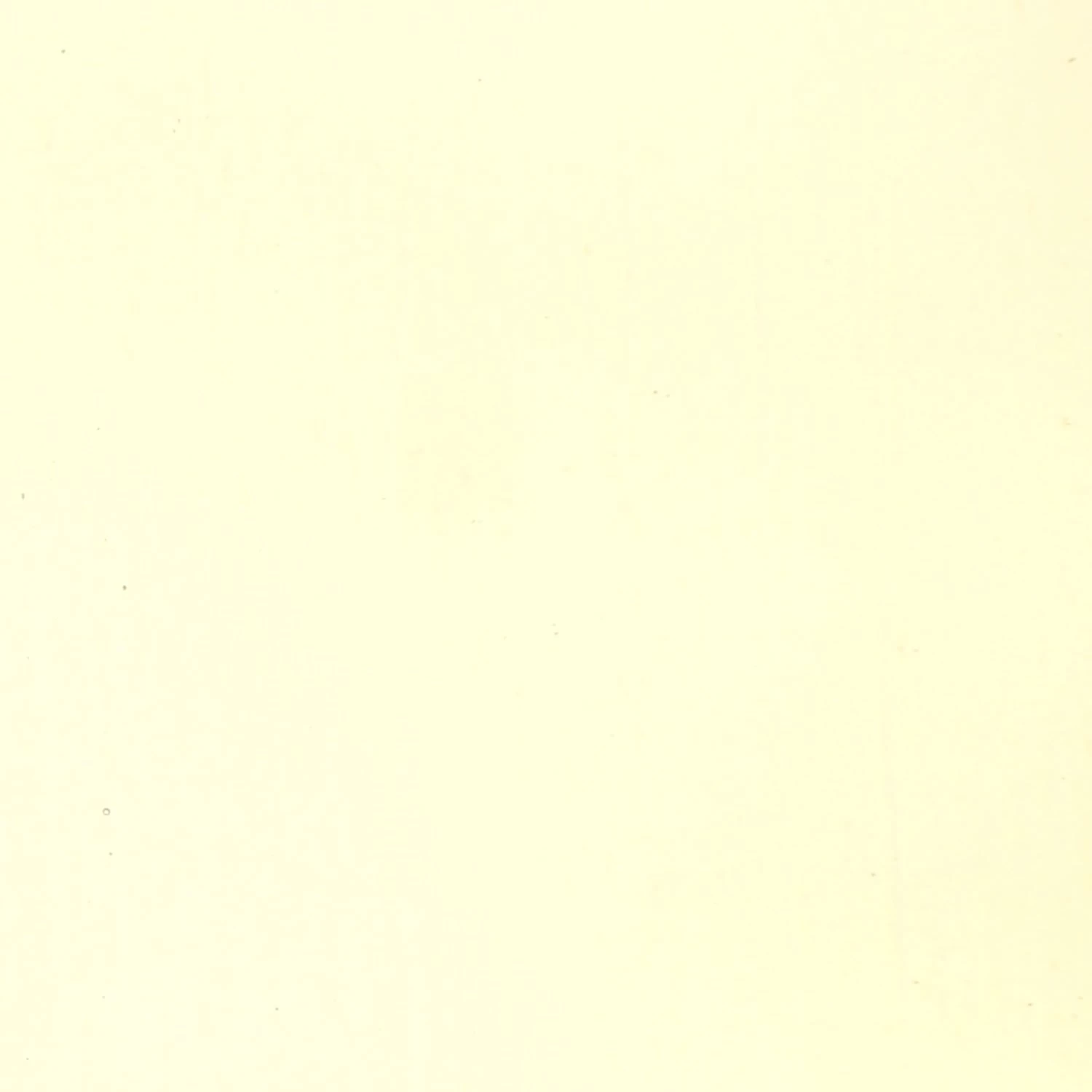 Wissmach Medium Amber Transparent 2 Wissmach Medium Amber Transparent - Image 2