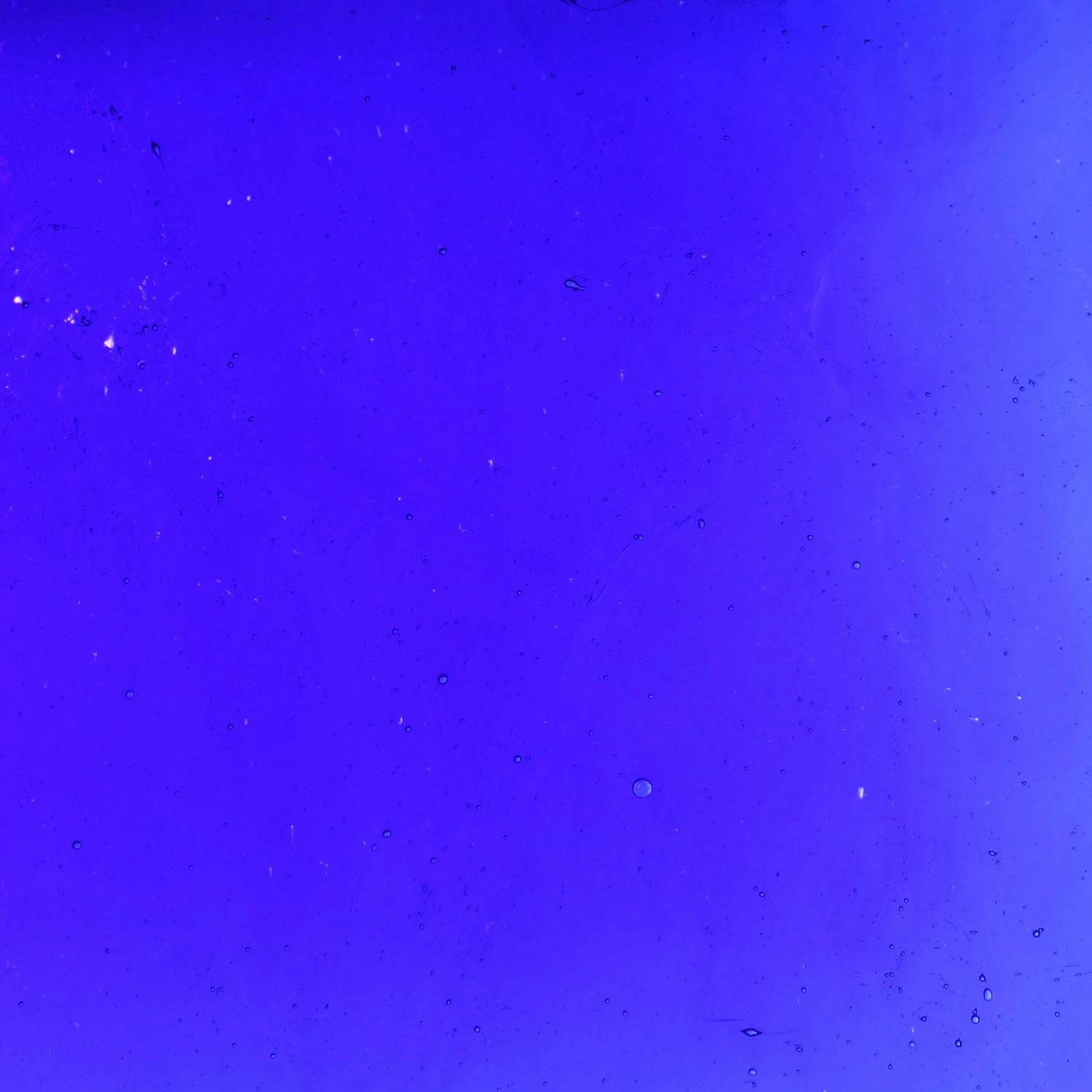 Tiffany Today Cobalt Blue Transparent 1 Tiffany Today Cobalt Blue Transparent