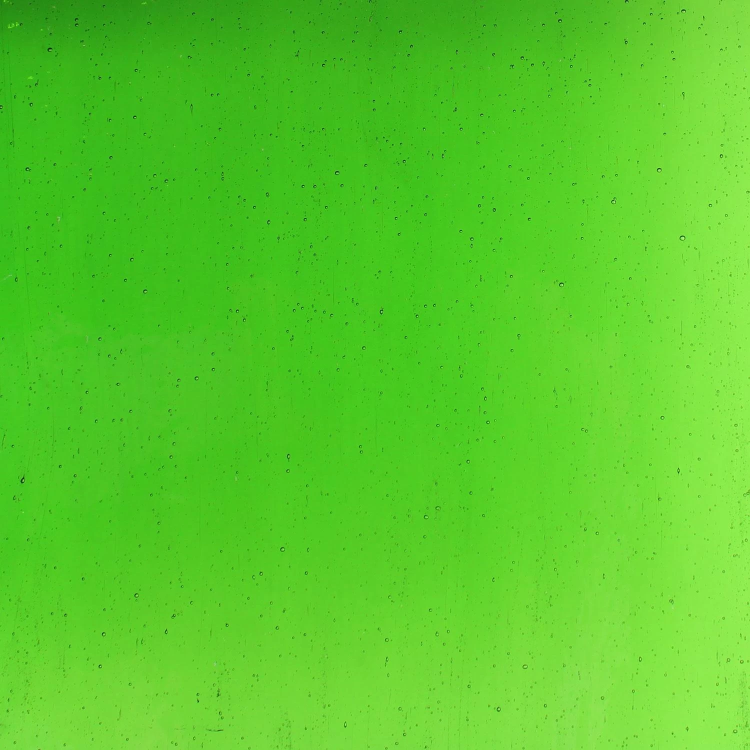 Tiffany Today Grass Transparent 1 Tiffany Today Grass Transparent