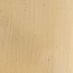 Delphi Superior Mushroom Transparent - 90 COE