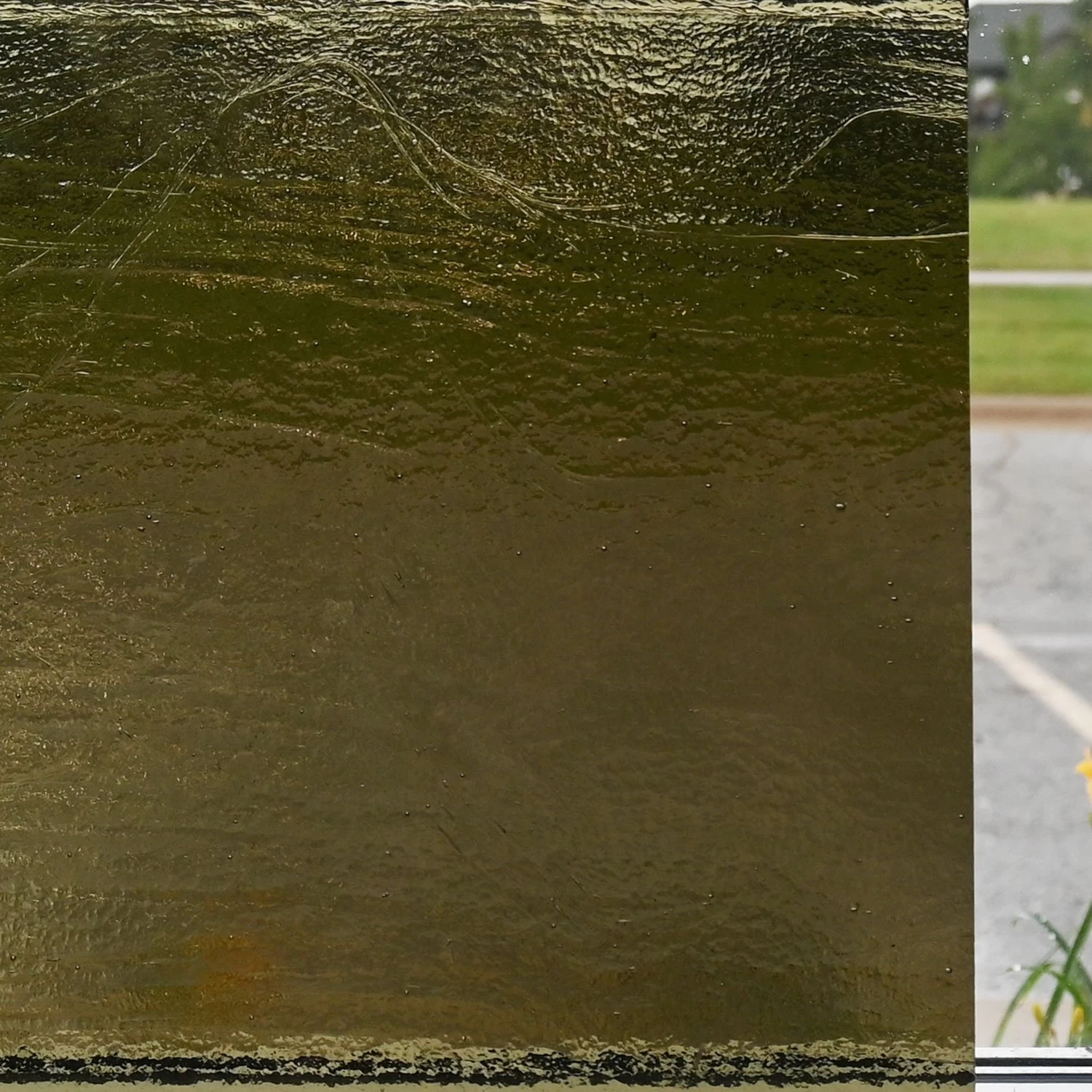 Delphi Superior Mushroom Transparent - 90 COE 6 Delphi Superior Mushroom Transparent - 90 COE - Image 6