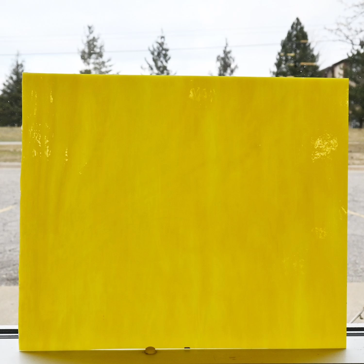 Tiffany Today Yellow Opal 4 Tiffany Today Yellow Opal - Image 4